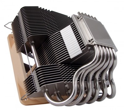 noctua2.jpg